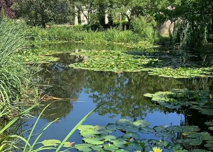 Le Flacon De La Verrouille