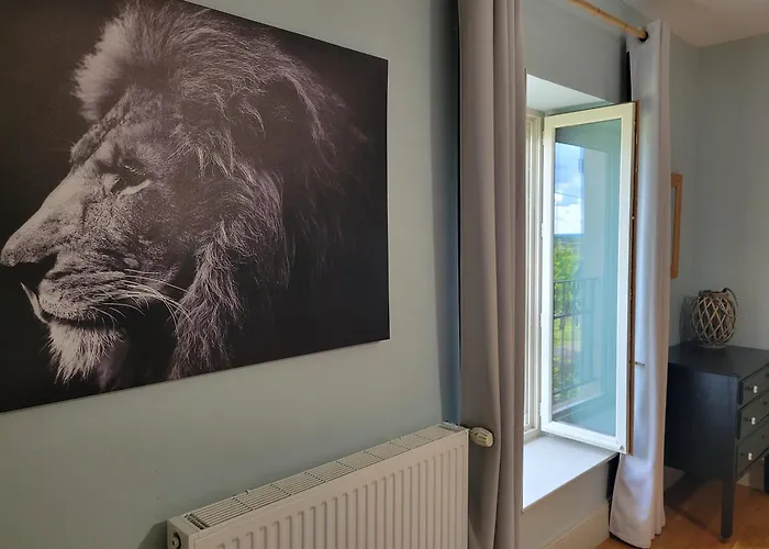 Le Flacon De La Verrouille Bruniquel