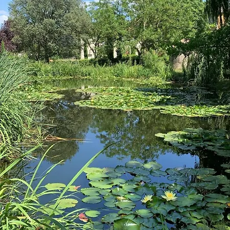 Le Flacon De La Verrouille