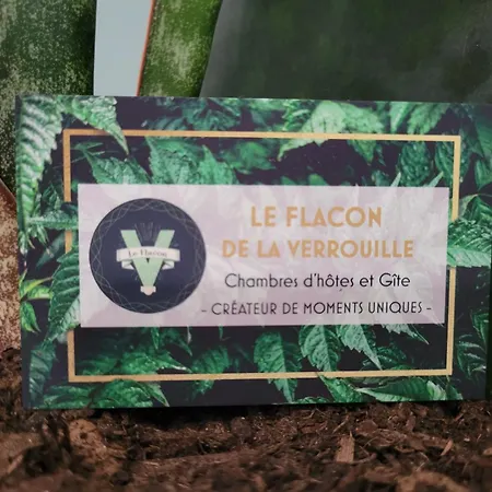 Bed and breakfast Le Flacon De La Verrouille Bruniquel