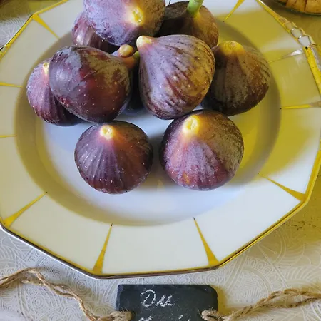 Le Flacon De La Verrouille Bruniquel