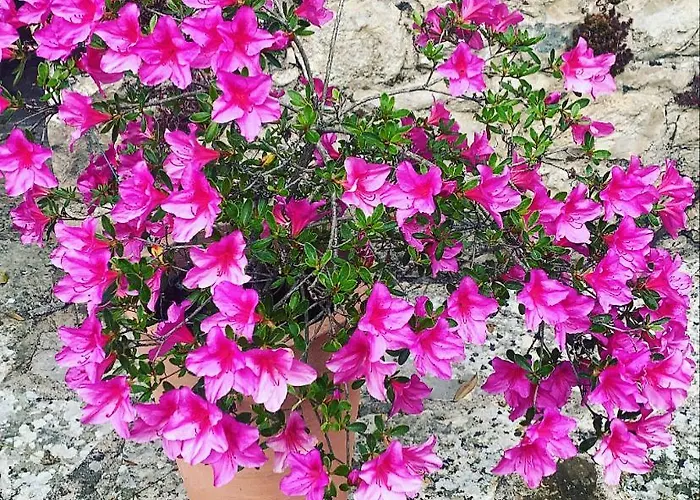 Maison d'hôtes Le Flacon De La Verrouille