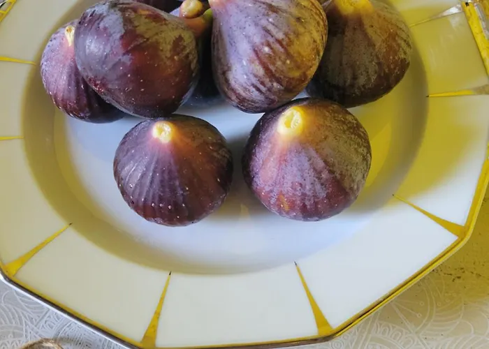 Le Flacon De La Verrouille Bruniquel